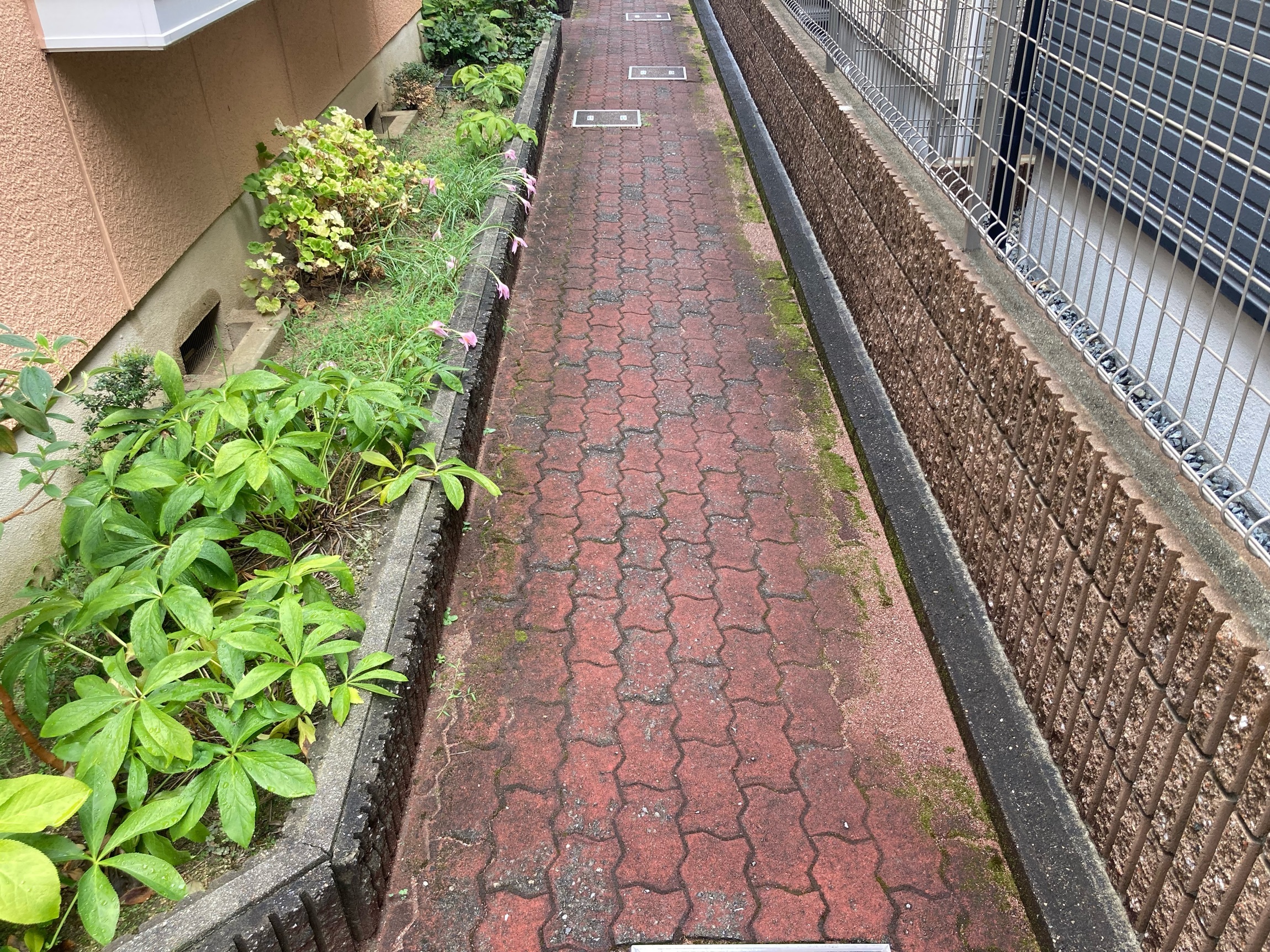 施工前